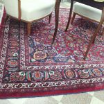 732 5595 ORIENTAL RUG